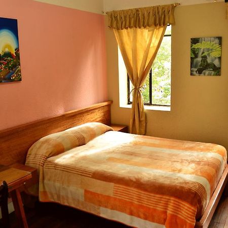 Hostal Loro Verde Quito Bagian luar foto